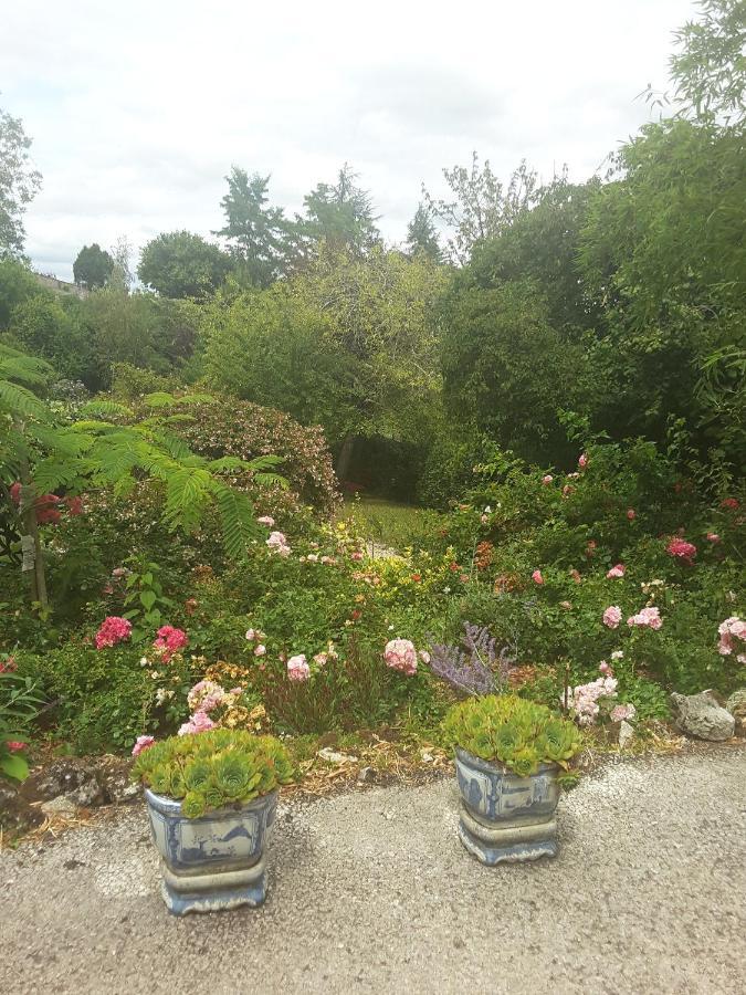 La Maison Des Thermes, Chambre D'Hote Saintes Eksteriør billede