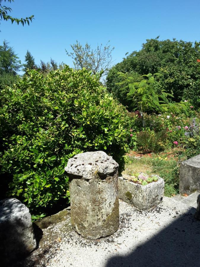 La Maison Des Thermes, Chambre D'Hote Saintes Eksteriør billede